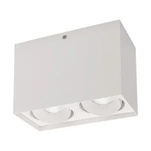 Светильник SP-CUBUS-S100x200-2x11W Warm3000 (WH, 40 deg, 230V) (Arlight, IP20 Металл, 3 года)