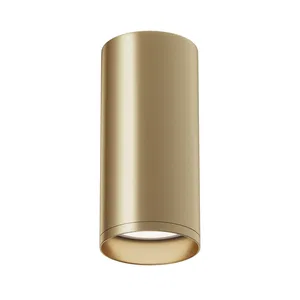 Потолочный светильник Technical C010CL-01MG