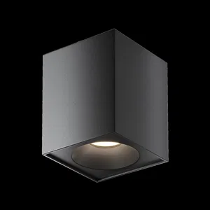 Потолочный светильник Technical C030CL-01B