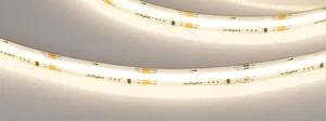 Лента SPI-COB-X378-12mm 24V Day4000-PX21-BPT (8 W/m, IP20, 5m) (Arlight, бегущий огонь)