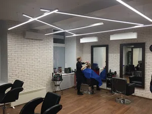 Профиль HOKASU S50 Anod LT95  (с экраном) — 2500мм