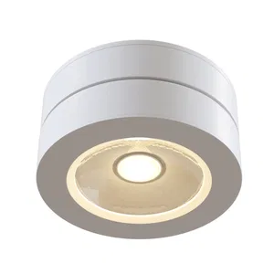 Потолочный светильник Technical C022CL