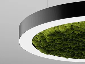 Модульный светильник HOKASU Halo Moss (кольцо со мхом)