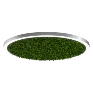 Модульный светильник HOKASU Halo Moss (кольцо со мхом)