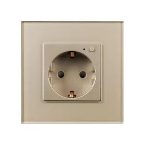 Розетка электрическая с Zigbee управлением SCT-OMALI-EUZB1-PL-GD (240V, 16A, Zigbee) (Arlight, -)