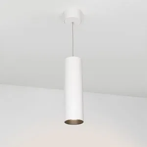 Светильник SP-POLO-HANG-LONG300-R85-15W Warm3000 (WH-BK, 40 deg) (Arlight, IP20 Металл, 3 года)