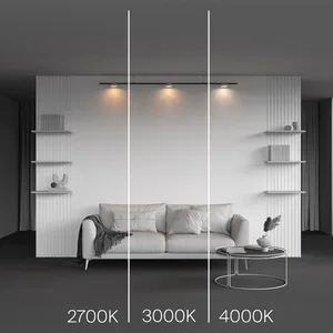 Трековый светильник Technical TR189-1-12W4K-BW