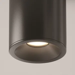 Потолочный светильник Technical C029CL-01B