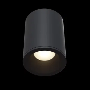 Потолочный светильник Technical C029CL-01B