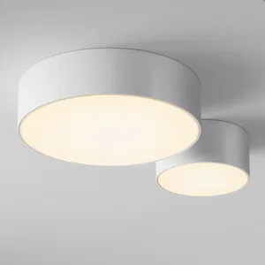 Потолочный светильник Outdoor O431CL