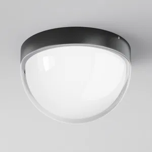 Уличный потолочный светильник Outdoor O438CL-L12GF3K