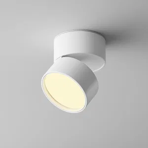 Потолочный светильник Technical C024CL-12W2.7K-W-1