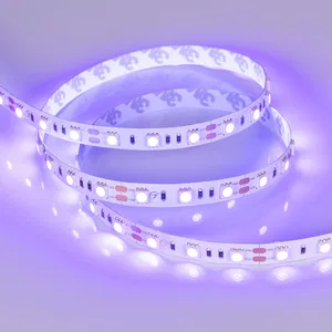 Лента RT-B60-10mm 12V UV400 (14.4 W/m, IP20, 5060, 5m) (Arlight, Открытый)
