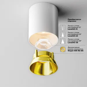Потолочный светильник Technical C064CL-12W3K-RD-WB