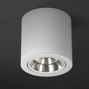 Светильник SP-FOCUS-R140-30W Day White (Arlight, IP20 Металл, 3 года)