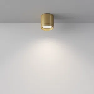 Потолочный светильник Technical C088CL-GX53-MG