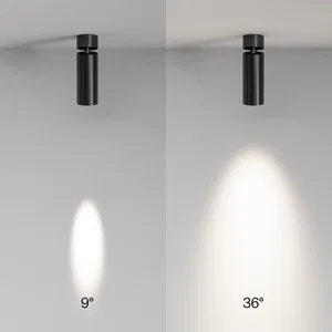 Потолочный светильник Technical C055CL-L12W4K-SS-B
