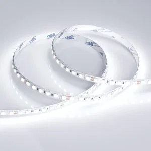Лента RT-B96-10mm 24V White6000 (23 W/m, IP20, 5060, 5m) (Arlight, Открытый)