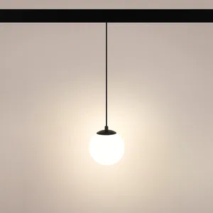 Светильник MAG-ORIENT-SFERO-HANG-R150-10W Warm3000 (BK, 300 deg, 48V) (Arlight, IP20 Металл, 5 лет)