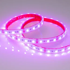 Лента герметичная RTW-PS-B60-12mm 12V RGB (14.4 W/m, IP67, 5060, 5m) (Arlight, 14.4 Вт/м, IP67)