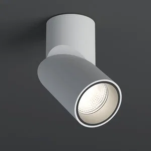 Светильник SP-TWIST-SURFACE-R70-12W Day4000 (WH-BK, 30 deg) (Arlight, IP40 Металл, 3 года)