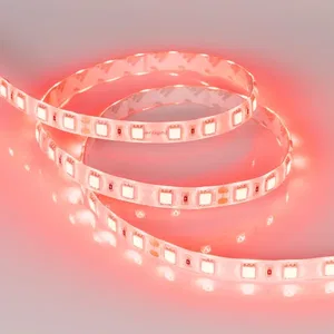 Лента RTW 2-5000SE 24V Red 2x (5060, 300 LED, LUX) (Arlight, 14.4 Вт/м, IP65)