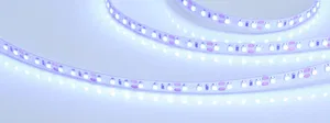 Лента RT 2-5000 12V Blue 2x (3528, 600 LED, LUX) (Arlight, 9.6 Вт/м, IP20)