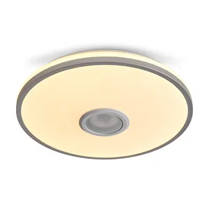 Потолочный светильник Freya FR6226CL-L36W