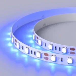 Лента RT 2-5000 12V Blue 2x (5060, 300 LED, LUX) (Arlight, 14.4 Вт/м, IP20)
