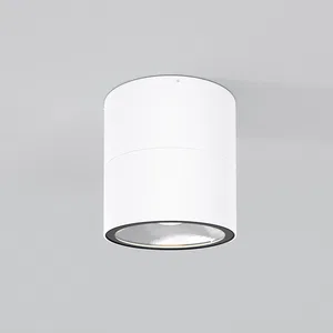 Уличный потолочный светильник Outdoor O310CL-L7W3K