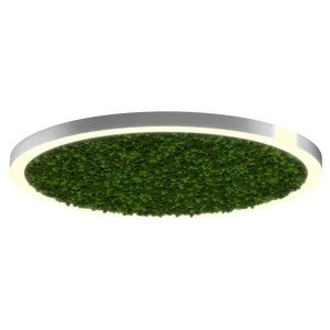 Модульный светильник HOKASU Halo Moss (кольцо со мхом)