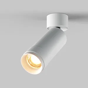 Потолочный светильник Technical C055CL-L12W2.7K-Z-W