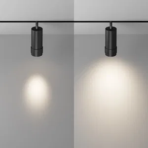 Трековый светильник Technical TR212-4-12WTW-DD2-Z-B