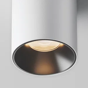 Потолочный светильник Technical C064CL-12W3K-RD-WB