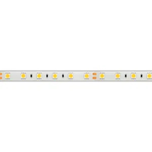 Лента герметичная RTW-PS-B60-12mm 24V Day4000 (14.4 W/m, IP67, 5060, 5m) (Arlight, 14.4 Вт/м, IP67)