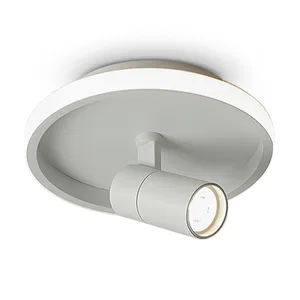 Потолочный светильник Freya FR6040CL-L14W