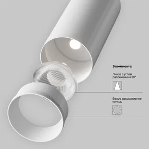 Трековый светильник Technical TR197-3-30WCCT-M-W