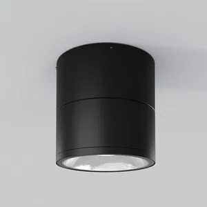 Уличный потолочный светильник Outdoor O310CL-L12GF3K