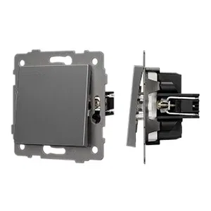 Механизм выключателя одноклавишный непроходной SWT-MK01-PL-GR-V (250V, 10A) (Arlight, -)