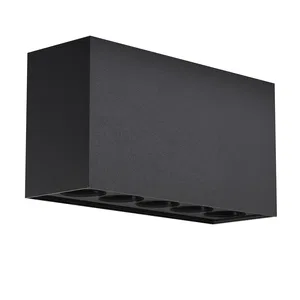 Уличный потолочный светильник Outdoor O309CL-L10GF3K