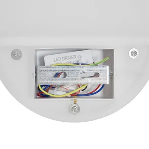 Настенный светильник (бра) Freya FR6199WL-L4W
