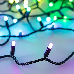 Светодиодная гирлянда ARD-STRING-CLASSIC-10000-BLACK-100LED-MILK-LIVE RGB-DMX (24V, 10W) (Ardecoled, IP65, 1 год)