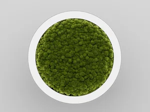 Модульный светильник HOKASU Halo Moss (кольцо со мхом)