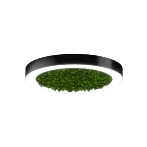 Модульный светильник HOKASU Halo Moss (кольцо со мхом)