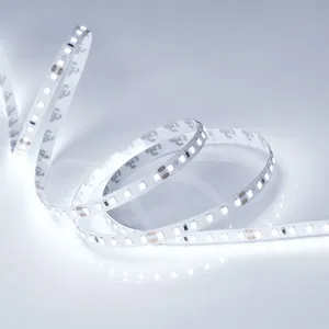 Лента RT 2-5000 24V Cool 8K 2x (2835, 600 LED, PRO) (Arlight, 14.4 Вт/м, IP20)