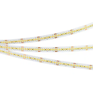 Лента RT-A240-10mm 24V Day5000 (22 W/m, IP20, 2835, 5m) (Arlight, высок.эфф.150 лм/Вт)