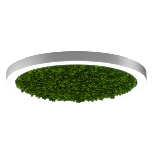 Модульный светильник HOKASU Halo Moss (кольцо со мхом)