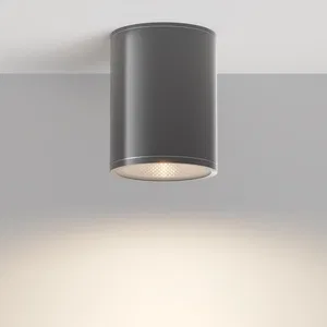 Уличный потолочный светильник Outdoor O306CL-L7GF