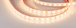 Лента герметичная RTW-PFS-B60-13mm 12V Warm3000 (14.4 W/m, IP68, 5060, 5m) (Arlight, -)