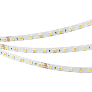 Лента RT 6-5000 24V White-MIX 2x (5060, 60 LED/m, LUX) (Arlight, Изменяемая ЦТ)